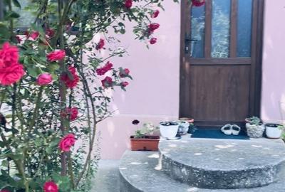 Comuna Marzanesti, sat Valea Parului, str Lalelelor, Teleorman Comuna Marzanesti, sat Valea Parului, str Lalelelor, Teleorman - 2