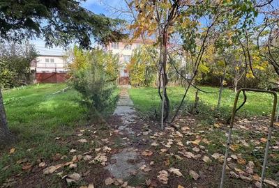 Teren de vanzare in Valu lui Traian, Calea Dobrogei - 10