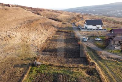 Teren de vanzare - Chinteni - 1