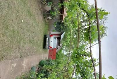 Casă cu 5 camere cu Teren 4000 Mp în Smârdan - 7