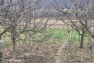 Casă cu 2 camere în Bogei - 2