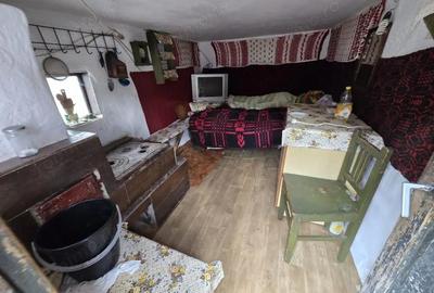Casă cu Teren 2723 Mp în Sătic - 3