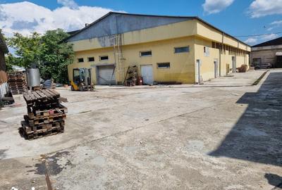 Spațiu comercial, de 656 mp, în Depozitelor - 3