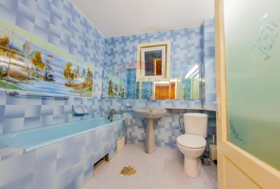 De inchiriat-casa ideala pentru sediu sau spatiu comercial-Parcul Mare - 12