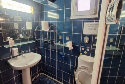 Capitol, imobil P+1, IDEAL BIROURI, 150 mp., curte - 13