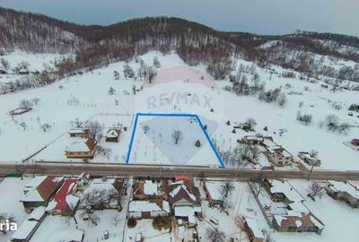 Teren de 3000 mp, în Bratca - 1