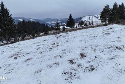 Teren de 25731 mp, în Breaza