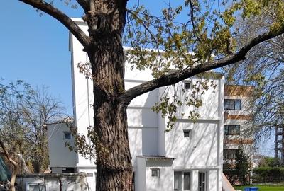 Vila 15 camere Mamaia - Ultracentral + teren 1200 mp - 1.350.000 euro(Cod E11)