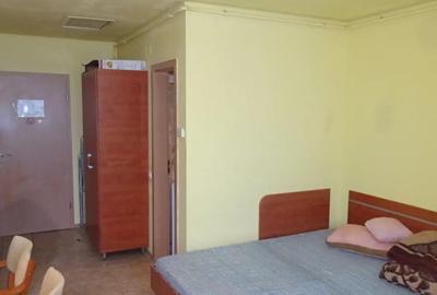 Garsonieră în Gojdu - 5