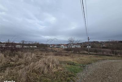 Spațiu comercial, în Paleu