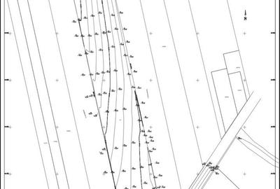 Teren de 15994 mp, în Horlești - 1
