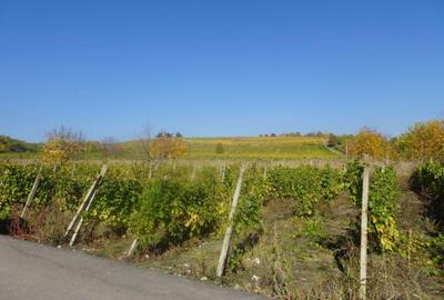 Teren de 2600 mp, în Drăgășani - 5