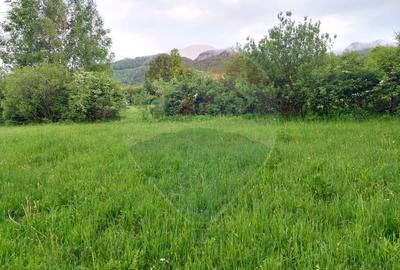 Teren 4,223mp Zarnesti - Tohanita - 17