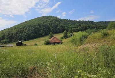 Teren de 5500 mp, în Hurez - 2