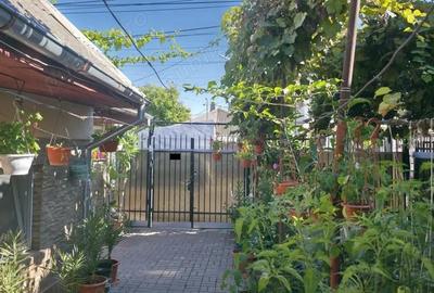 Casă cu 6 camere cu Teren 230 Mp în Viile Noi - 2