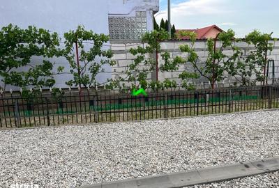 Casă cu 3 camere cu Teren 250 Mp în Terezian - 3