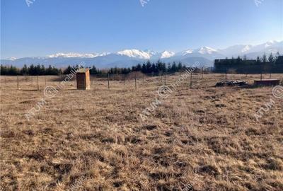 Teren intravilan 3000 mp de vanzare pe Valea Avrigului drum asfaltat - 14