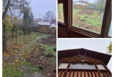 Casă cu 2 camere cu Teren 3052 Mp în Uliești - 4