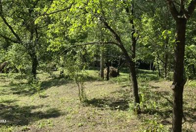 Vand casa+teren 5300 mp Breaza de Sus Nistoresti Prahova - 3