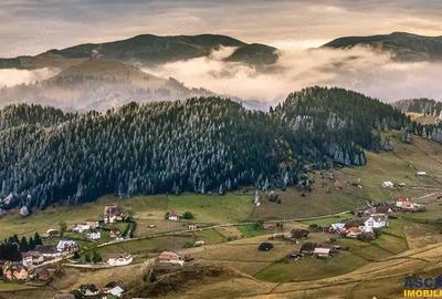 Teren de 6966 mp, în Bran