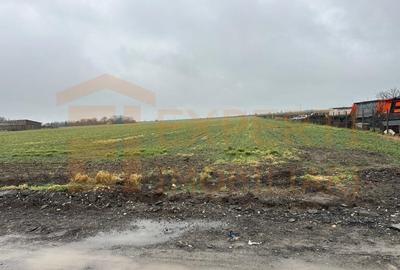 Teren Construcții extravilan de 14785 mp, în Exterior Sud - 2