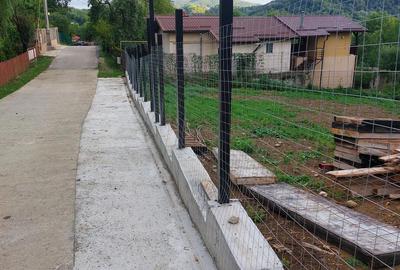 Teren de 1194 mp, în Piatra (Provița de Jos) - 8