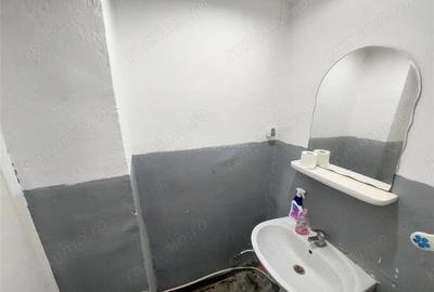 3 camere, parter, SPATIU COMERCIAL, 47 mp, Costieni - 5