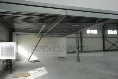 Hala depozitare sau productie   Drumul intre Tarlale,  600MP - 7