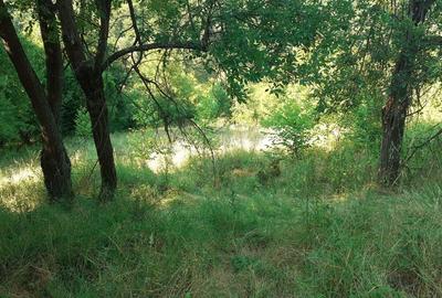 Teren Construcții extravilan de 700 mp, în Roșcani - 1