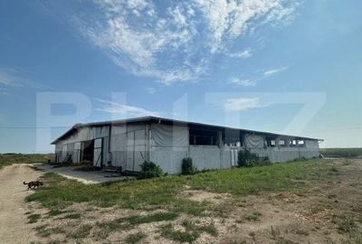 FERMA de vanzare / ANEXE si UTILAJE / 2 case de 1050mp / VETIS-OAR - 2