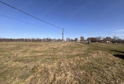 Spațiu comercial, în Păușa - 12