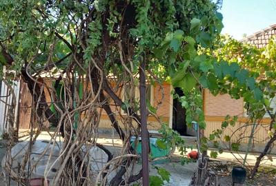 Casă cu 3 camere cu Teren 766 Mp în Sălciile - 8