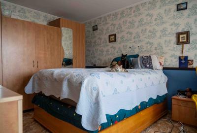 Casă individuală cu 10 camere cu Garaj în Chitila - 35