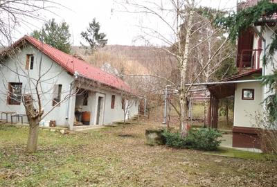 Casă cu 4 camere în Covăsinț - 2