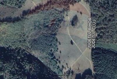 Teren agricol extravilan de 128948 mp, în Munteni - 18