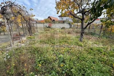 Casă cu 3 camere cu Teren 700 Mp în Central - 4