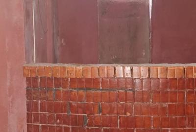 Casă cu 10 camere cu Teren 400 Mp în Armeneasca - 18