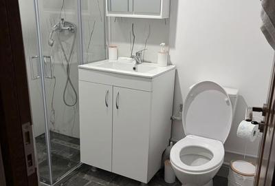 Garsonieră decomandată în Cornitoiu - 3