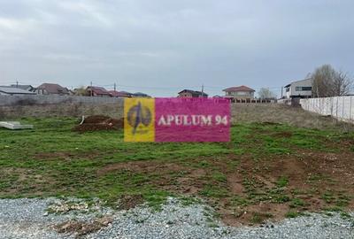 Teren Domnesti- Drumul Targului. - 5