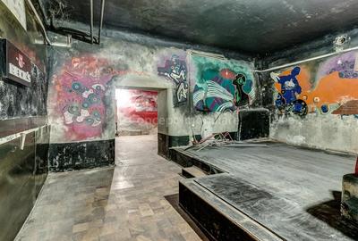 Spatiu Comercial de vanzare LIPSCANI, 209mp - 20