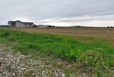 Teren Osorhei, Str. 610 - 5