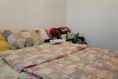 Apartament cu 3 camere decomandat în Minerul - 8