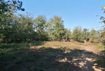 Casă cu 2 camere cu Teren 1700 Mp în Scrioaștea - 1