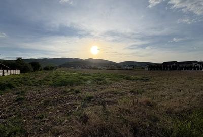 Teren Construcții intravilan de 4088 mp, în Micești - 1