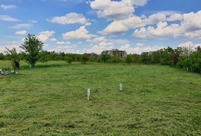 Teren de 700 mp, în Pipera - 7