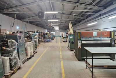 Gaminvest Hala industriala modernizată 2200 mp in Pecica, Arad,v4363 - 11