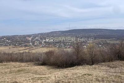 Spațiu comercial, în Bârnova - 6