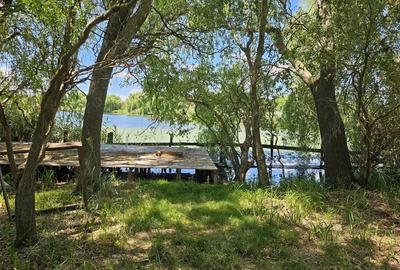 Casă cu 4 camere în Corbeanca