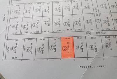 Domnesti, Teghes - 3