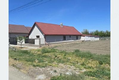 Casă cu 4 camere cu Teren 1522 Mp în Șimand - 3